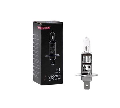 Lamp H1 70W 24v