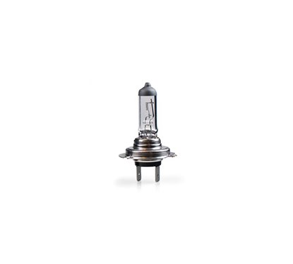 Lamp H7 PX26D 24v 100W