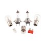 H7 Multiple Light Bulb Kit