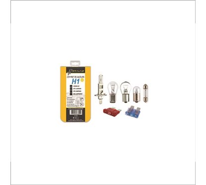 ECO H1 Replacement Bulb Kit 12V 55W