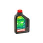 Óleo Motor 2T MOTUL GARDEN 2T 2L