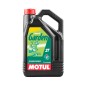 Engine Oil 2T MOTUL GARDEN 2T 5L Engine Oil 2T MOTUL GARDEN 2T 5L